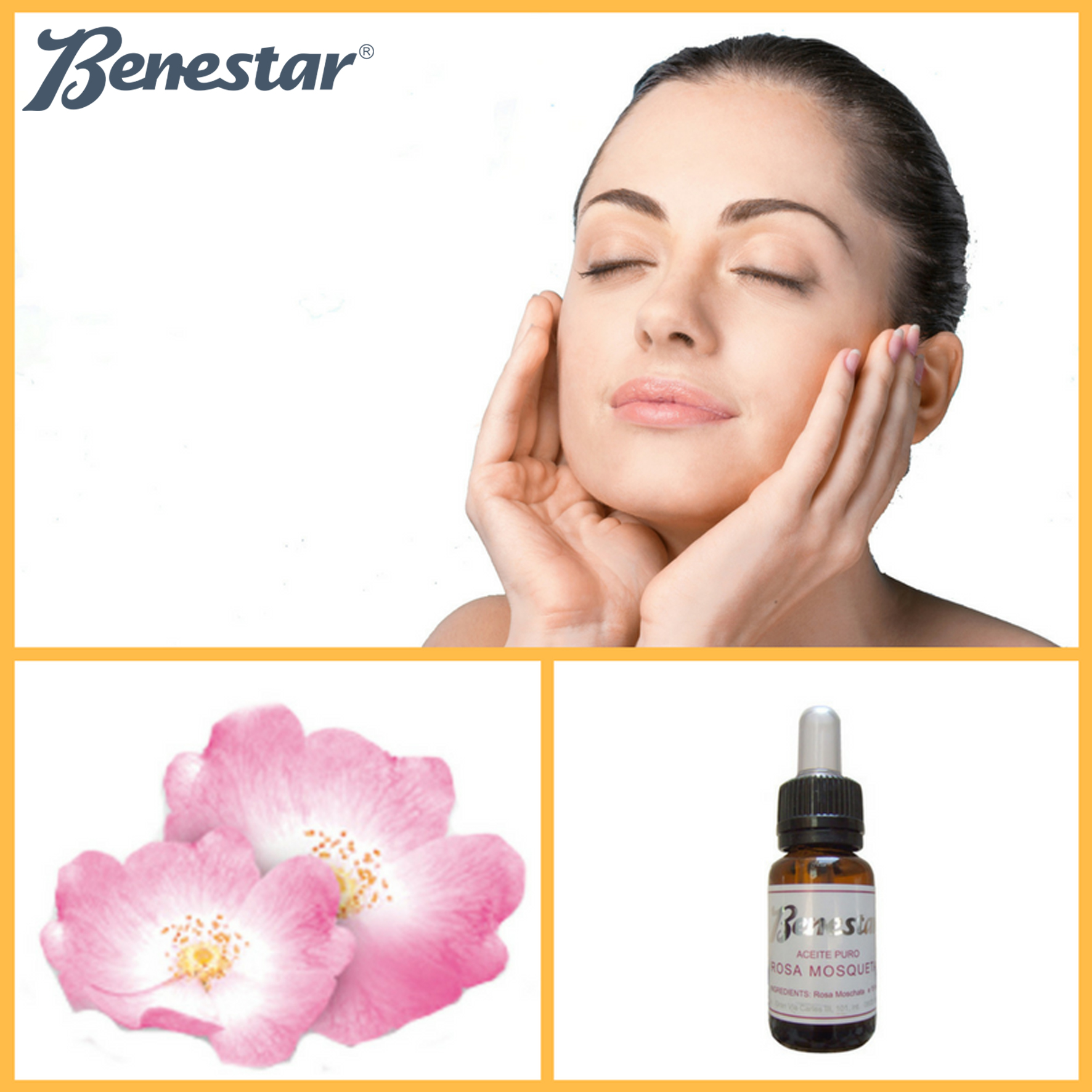 Higiene Facial con Tratamiento Regenerador con Aceite Puro Rosa de Mosqueta 1 Higiene Facial con Tratamiento Regenerador con Aceite Puro Rosa de Mosqueta